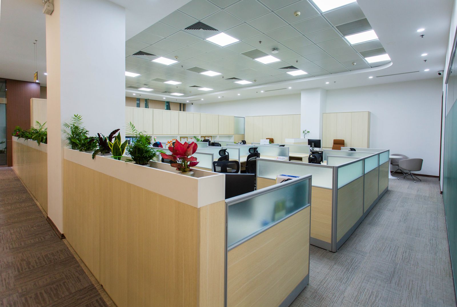 Bright, clean open-plan office with workstations and carpet tile